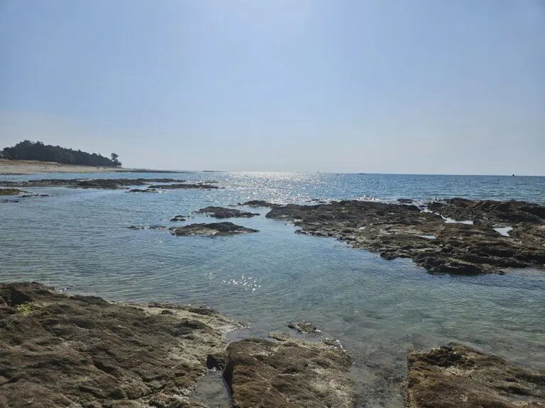 gestion des congés d'été