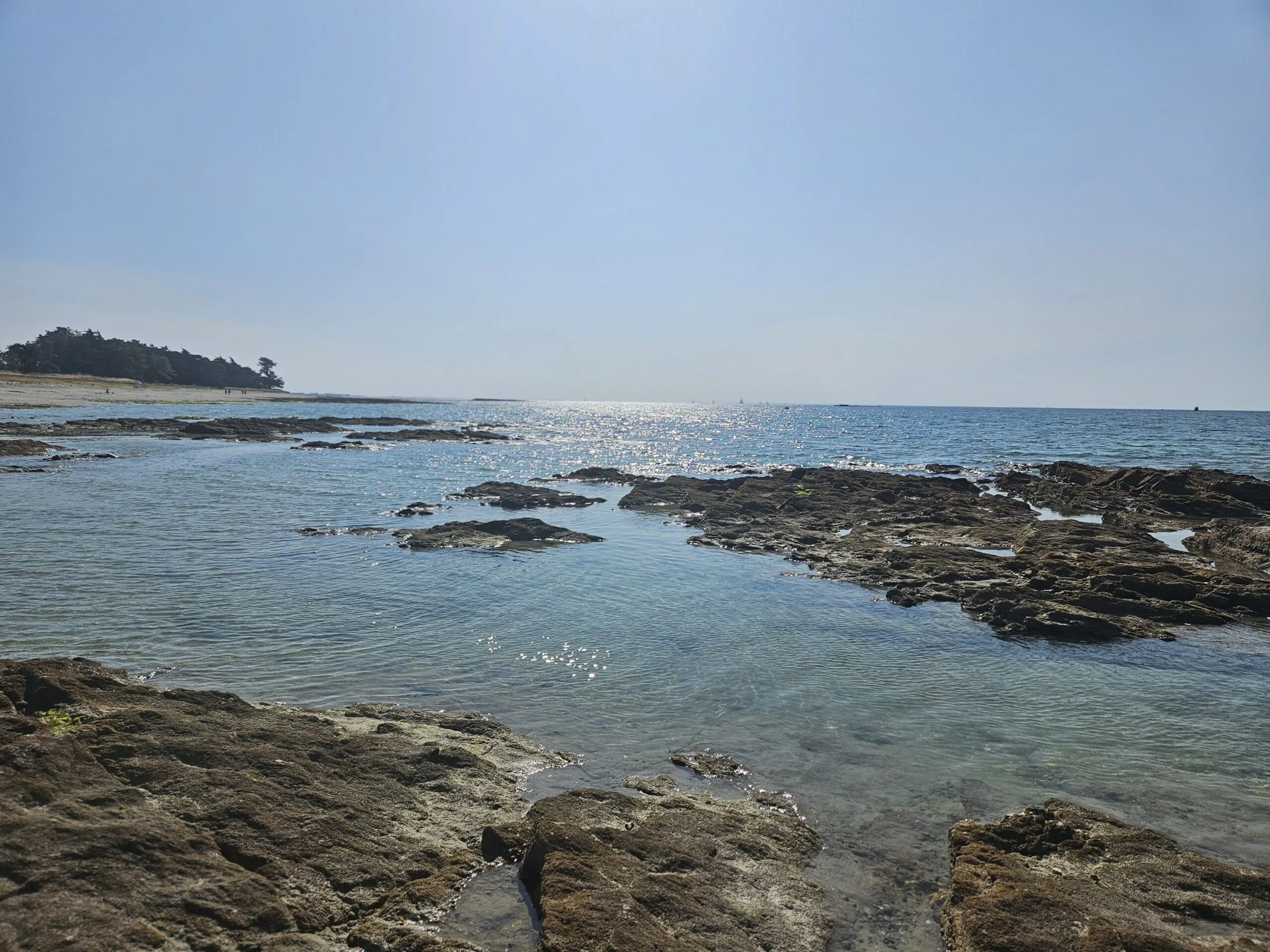 gestion des congés d'été